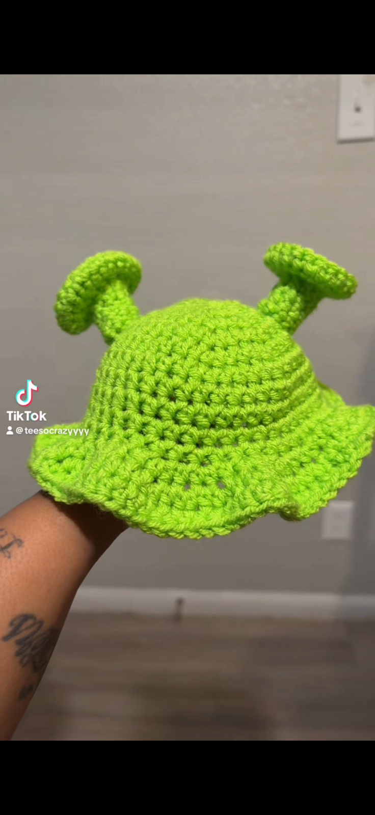 Shrek Hat.